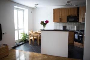 Kuchyň nebo kuchyňský kout v ubytování Apartment Poruba STREET VIEW