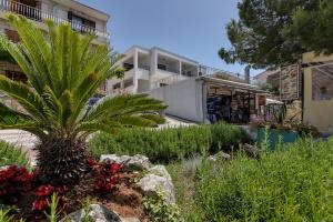 a palm tree in a garden in front of a building at Central Beach Apartments in Tučepi