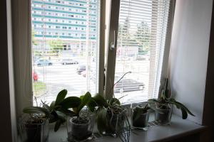 Fotografie z fotogalerie ubytování Apartment Poruba STREET VIEW v Ostravě