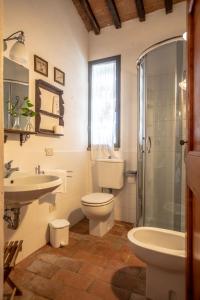 Mercatale Val Di PesaにあるIl Fienile del Vichiaccioのバスルーム(トイレ、洗面台、シャワー付)