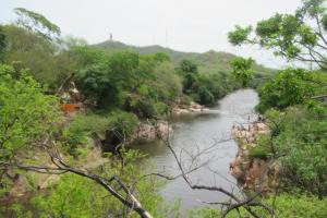 uma vista para um rio a partir de uma colina com árvores em Hotel Nuevo Tio em Valledupar
