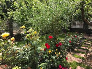 コスティネシュティにあるCasa La Musteataの赤と黄の花と柵のある庭園
