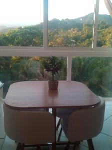 un tavolo con una pianta in vaso davanti a una finestra di A la montagne a Morne Vert