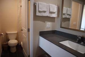 La salle de bains est pourvue d'un lavabo, de toilettes et d'un miroir. dans l'établissement Capri Motel Santa Cruz Beach Boardwalk, à Santa Cruz