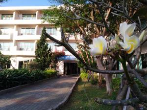 Giardino di Howard Kenting Wonder House
