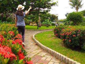 Giardino di Howard Kenting Wonder House