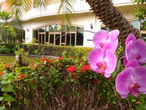 Giardino di Howard Kenting Wonder House