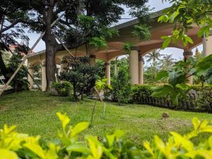 A garden outside Howard Kenting Wonder House