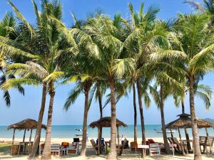 a beach with palm trees and chairs and the ocean at Dolphin Bay Beach Resort in Sam Roi Yot