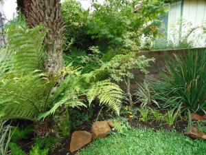 Pousada O Canto do Sabia في كانيلا: حديقة مع النباتات الخضراء المورقة والسياج