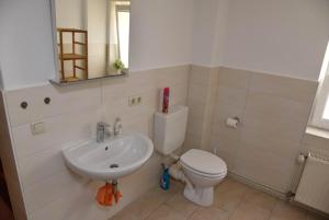 a bathroom with a sink and a toilet and a mirror at Ferienwohnung Zentrum in Neuruppin +7 photos