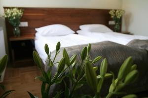 een slaapkamer met een bed en een plant op de voorgrond bij Villa Julia in Krakau
