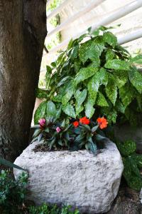 a rock with flowers and plants on it at Apartment Gitara in Dubrovnik