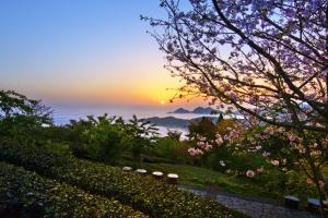 奮起湖的住宿－竺園山莊，山丘上种着粉红色花的日落