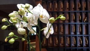 Afbeelding uit fotogalerij van Hotel Passacor - Business & Bike in Sermide +16 foto's