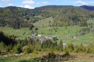 a village in a valley of green hills with trees at Familien- und Sportappartements Wetzel in Menzenschwand