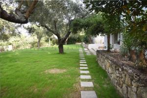 a stone path leading to a yard with a tree at Olivella Villas by Vatos in Keri
