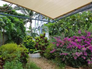 a greenhouse filled with colorful flowers and plants at Daeli Apartment in Kendwa