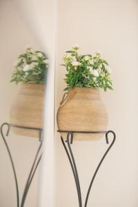 Fotografie z fotogalerie ubytování Beautiful Corfu City Apartment v destinaci Korfu
