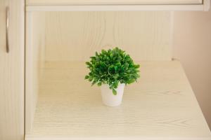 Fotografie z fotogalerie ubytování Beautiful Corfu City Apartment v destinaci Korfu
