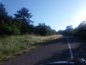 a road with trees on the side of the road at Panorama Kakopleyri Kalabakas in Kakoplévrion