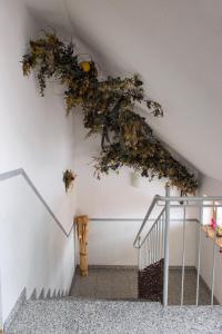 Fotografie z fotogalerie ubytování Hotel garni Hopfengold v destinaci Wolnzach