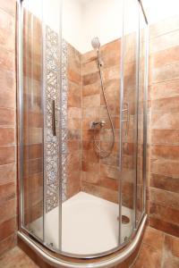 a shower with a glass enclosure in a bathroom at Apartmány MALIK in Dolní Dunajovice