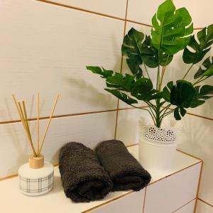 une étagère avec deux serviettes et une plante en pot dans l'établissement MS-OTEL POKOJE GOSCINNE 1,2,3 OSOBOWE ŻYWIEC Jezioro Żywieckie, à Pietrzykowice
