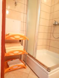 ein Badezimmer mit Dusche und einem Regal mit Handtüchern in der Unterkunft Charming Hill Apartment in Opatija