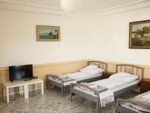 Televízia a/alebo spoločenská miestnosť v ubytovaní Magic Garden Hostel