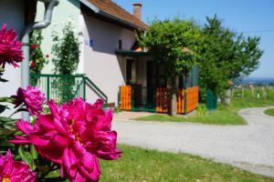 Zahrada ubytování Holiday Home Mađerka