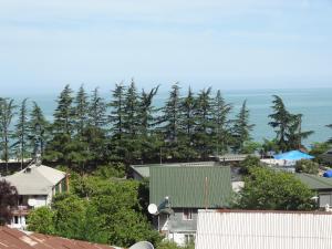 a view of a city with trees and the ocean at Guest House TeNi in Makhinjauri