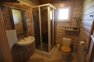 a bathroom with a shower and a toilet and a sink at Viesu mājas Briedīši in Raiskums