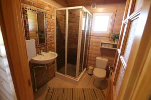 Galeriebild der Unterkunft Viesu mājas Briedīši in Raiskums