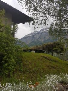 a mountain in the distance with a field of flowers at Apartment in Brienz in Brienz