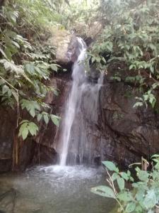 einem Wasserfall inmitten eines Waldes in der Unterkunft Vamoose Jharna Tabakoshi in Mirik
