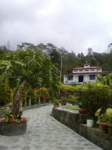 einen Garten mit Pflanzen und ein Haus im Hintergrund in der Unterkunft Vamoose Jharna Tabakoshi in Mirik