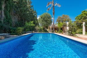 una piscina en el patio trasero de una casa con una palmera en Ca Na Sioneta, en Campanet