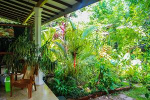 un jardin avec des plantes et une chaise sur une terrasse couverte dans l'établissement The Otunna Guest House Sigiriya, à Sigirîya