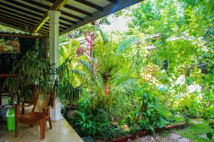 einen Garten mit Pflanzen und einem Stuhl auf einer Veranda in der Unterkunft The Otunna Guest House Sigiriya in Sigiriya