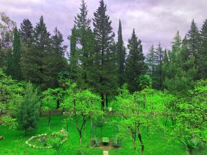Zahrada ubytování Park Hotel Imeri kutaisi