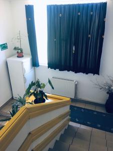 une chambre avec un escalier et une fenêtre ornée de plantes dans l'établissement Moto klub Brod, à Slavonski Brod