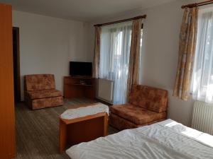 TV a/nebo společenská místnost v ubytování Guest House Boba