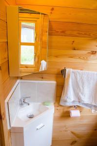 a bathroom with a white sink and a mirror at Le Chalet De Louyère in Saint-Salvadour