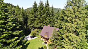 an aerial view of a house in the middle of a forest at DOM NAD POTOKIEM in Zawoja