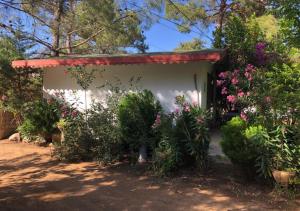 Kebun di luar Adrasan Şekerbahçe Otel