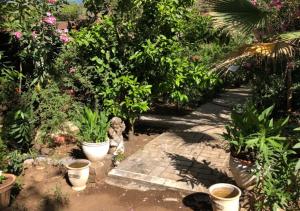 Kebun di luar Adrasan Şekerbahçe Otel