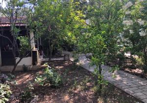 Kebun di luar Adrasan Şekerbahçe Otel