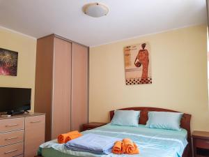 Un pat sau paturi într-o cameră la Apartments Đule
