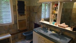 a bathroom with a sink and a toilet at Chambres de Monthéard in La Bazoge +37 photos